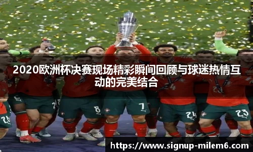 2020欧洲杯决赛现场精彩瞬间回顾与球迷热情互动的完美结合